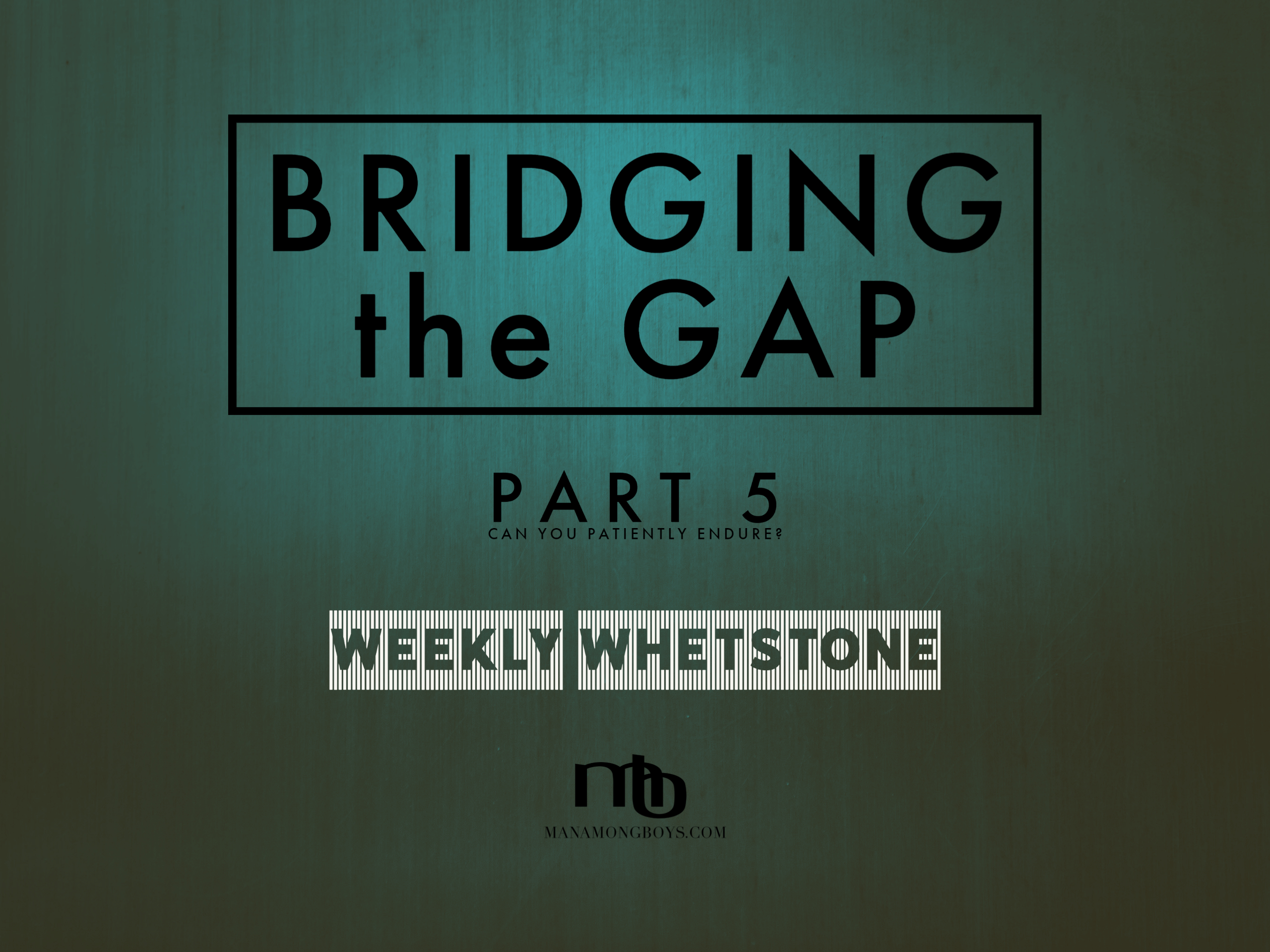 Bridging the Gap – Part 5:  Can You Patiently Endure?